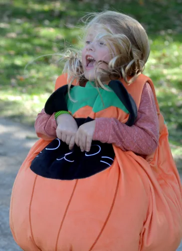 Pumpkins and Ponies